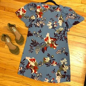 Ann Taylor Floral Shift Dress